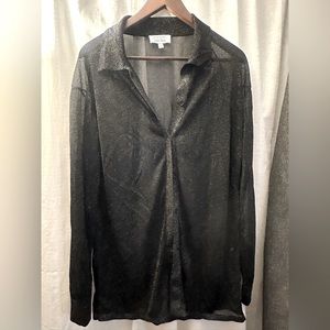Sexy Sheer Shimmer Blouse